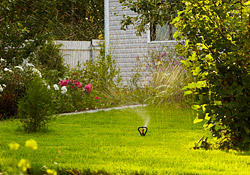 Irrigation Installation & Repair