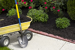 Mulching & Pine Straw