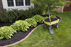 Sod Installation